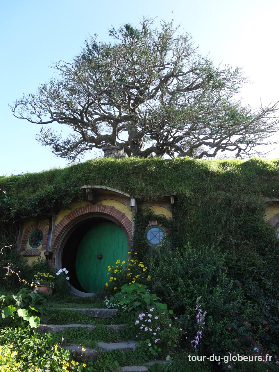 Nouvelle Zélande – maison de Hobbit à Hobbiton